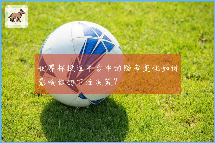世界杯投注平台中的赔率变化如何影响你的下注决策？