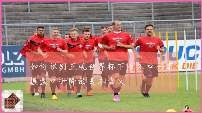 如何识别正规世界杯下注入口并掌握盘口升降的基本含义