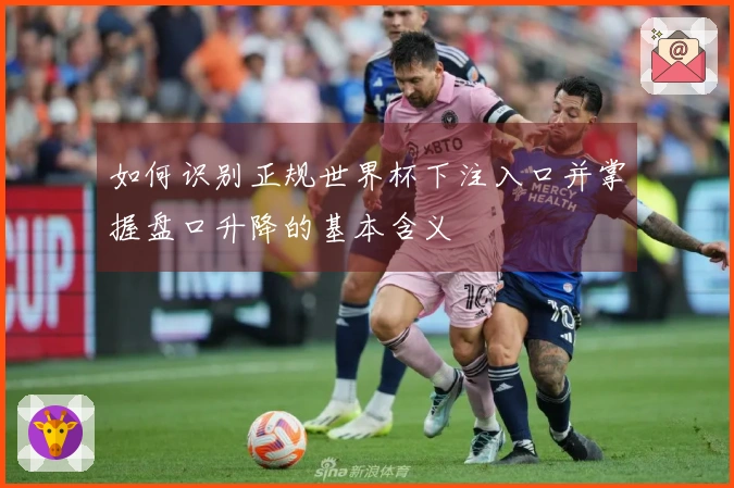如何识别正规世界杯下注入口并掌握盘口升降的基本含义