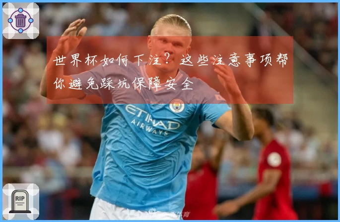世界杯如何下注？这些注意事项帮你避免踩坑保障安全
